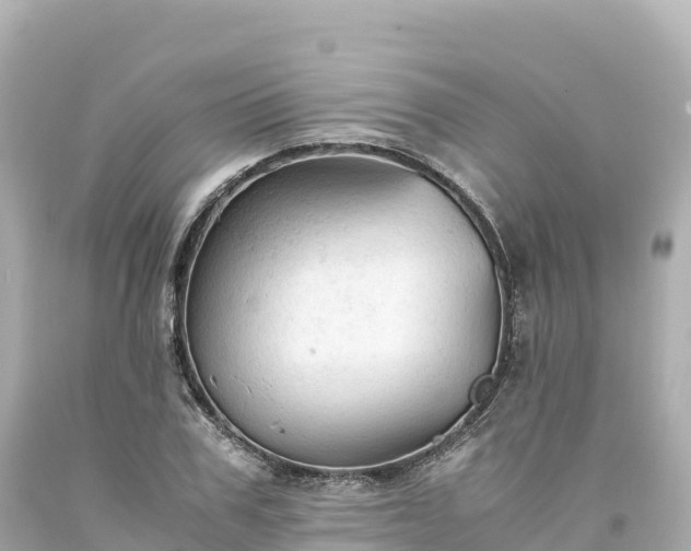 X0000094220979200711021135