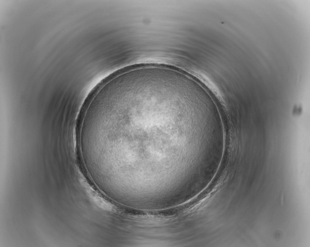 X0000094220980200711021135