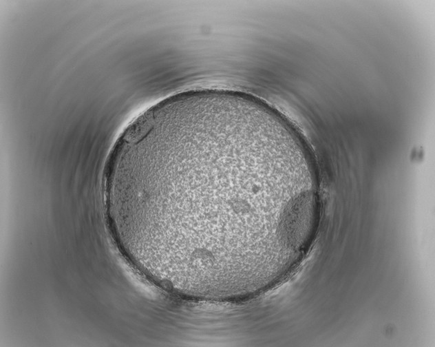 X0000094220981200711021135