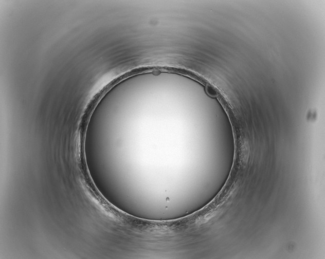 X0000094220982200711021135