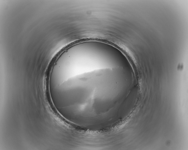 X0000094220983200711021135