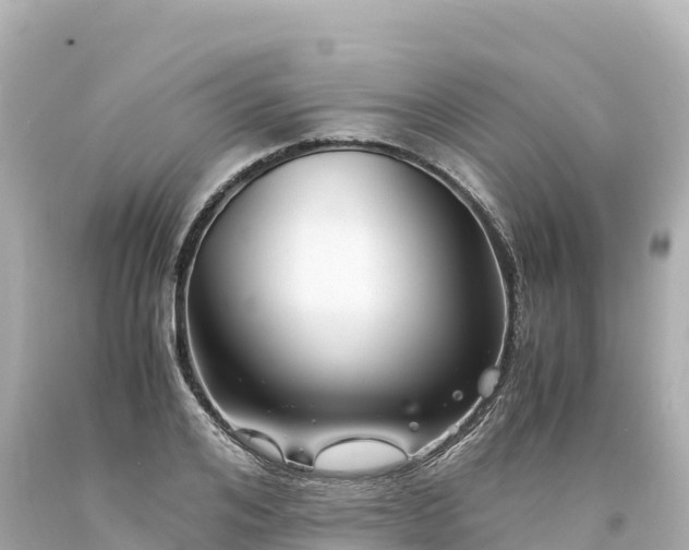 X0000094220984200711021135