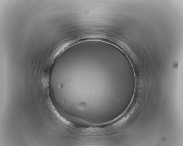 X0000094220985200711021135