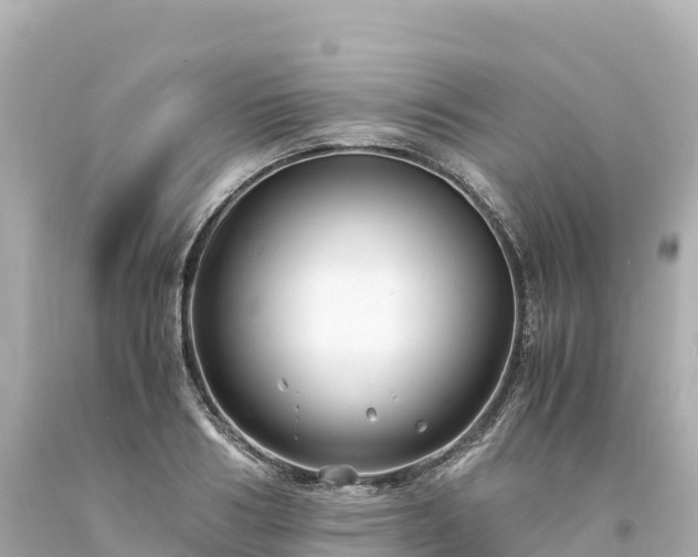 X0000094220986200711021135