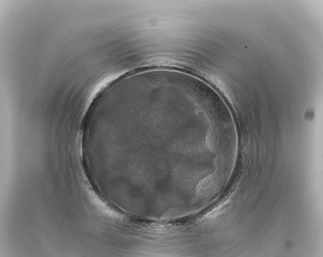 X0000094220987200711021135