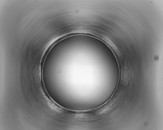 X0000094220988200711021135