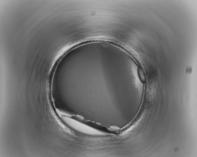 X0000094220989200711021135