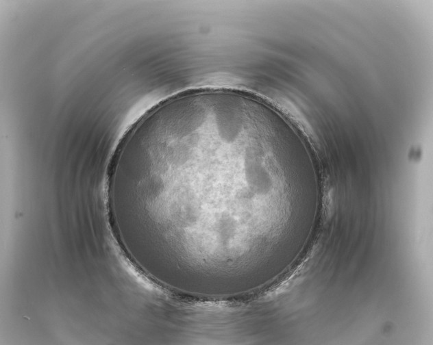 X0000094220990200711021135