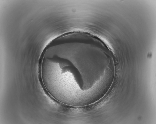 X0000094220991200711021135