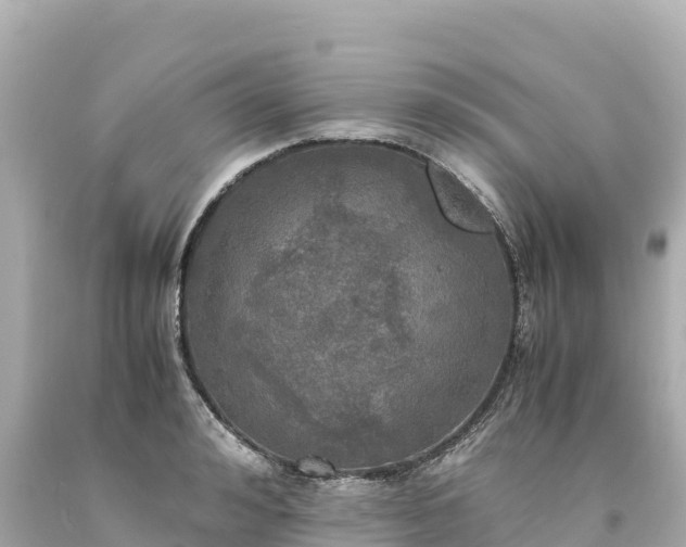 X0000094220992200711021135