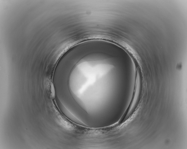 X0000094220993200711021135