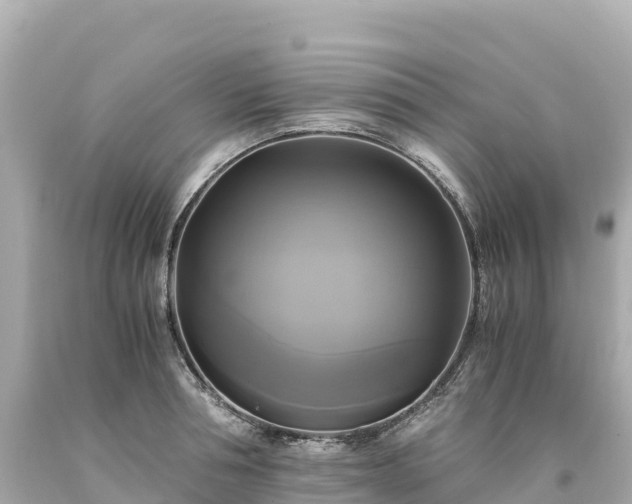 X0000094220994200711021135