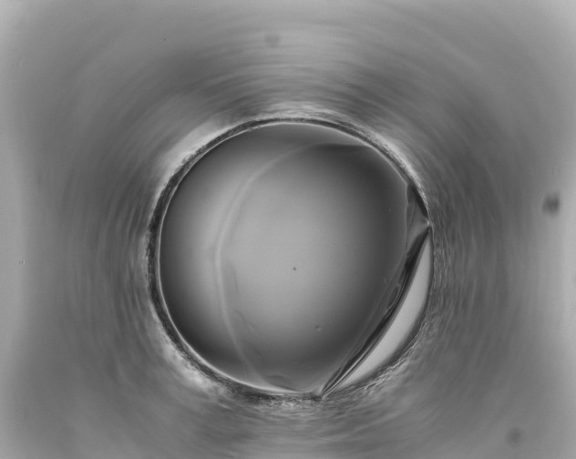 X0000094220995200711021135