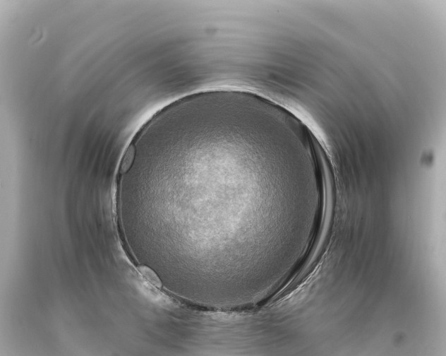 X0000094220996200711021135