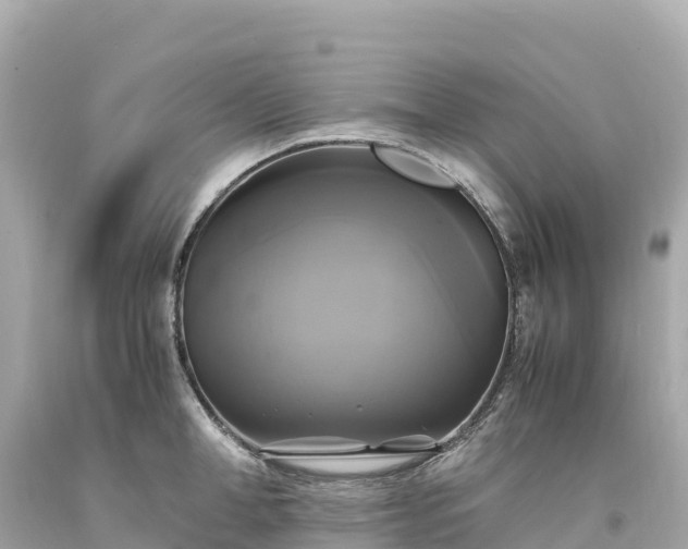 X0000094220998200711021135