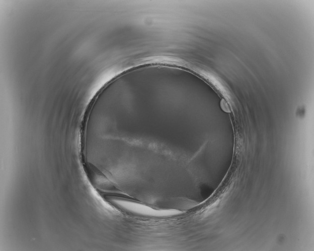 X0000094220999200711021135