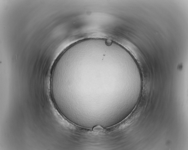 X0000094221000200711021135