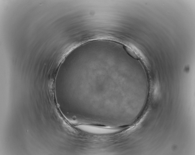 X0000094221001200711021135