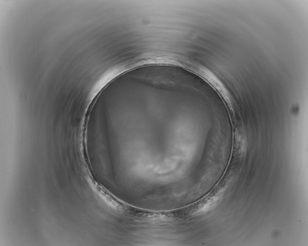 X0000094221002200711021135