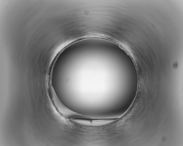 X0000094221003200711021135