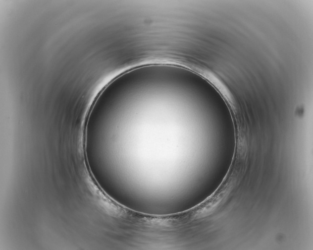 X0000094221004200711021135