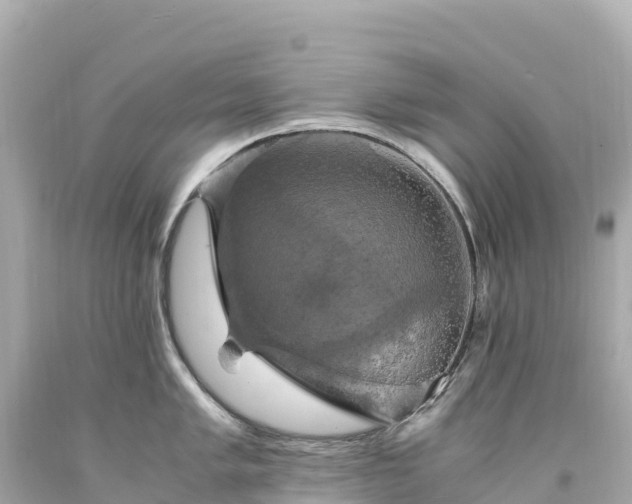 X0000094221005200711021135