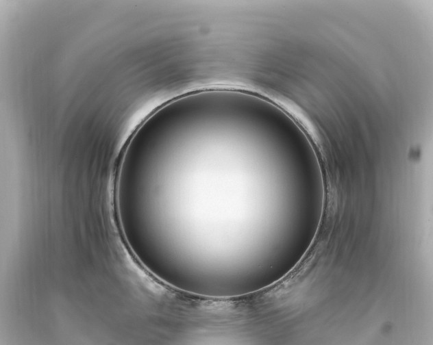 X0000094221006200711021135