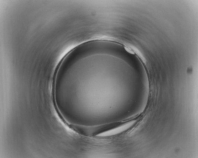 X0000094221007200711021135