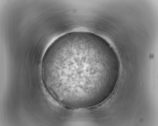 X0000094221008200711021135