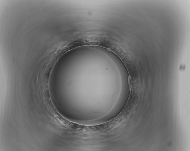 X0000094221009200711021134