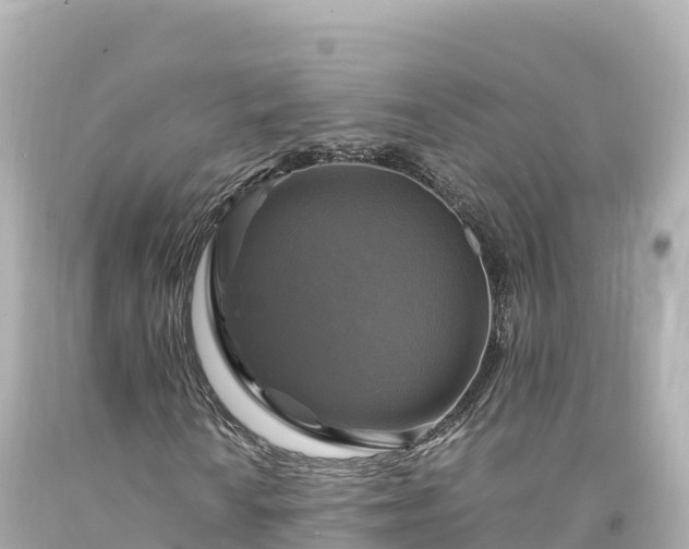 X0000094221010200711021134