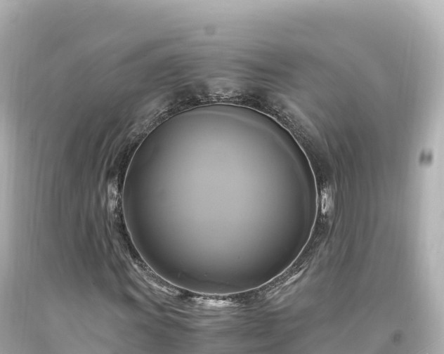 X0000094221011200711021134