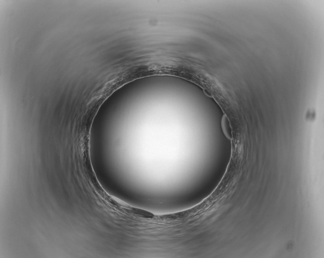 X0000094221012200711021134