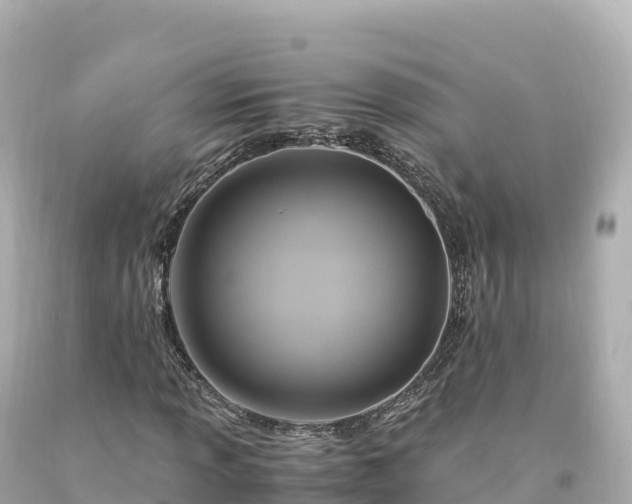 X0000094221013200711021134