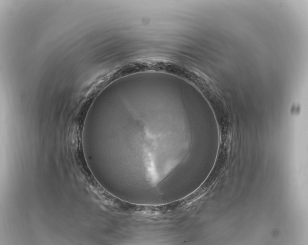 X0000094221014200711021134