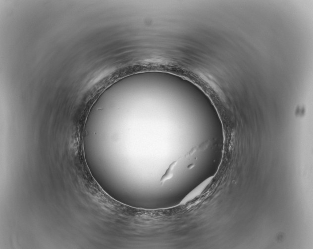 X0000094221015200711021134