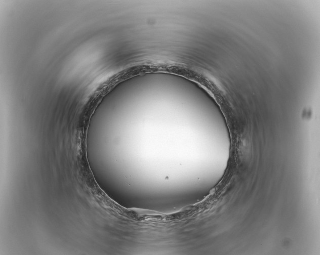 X0000094221016200711021134