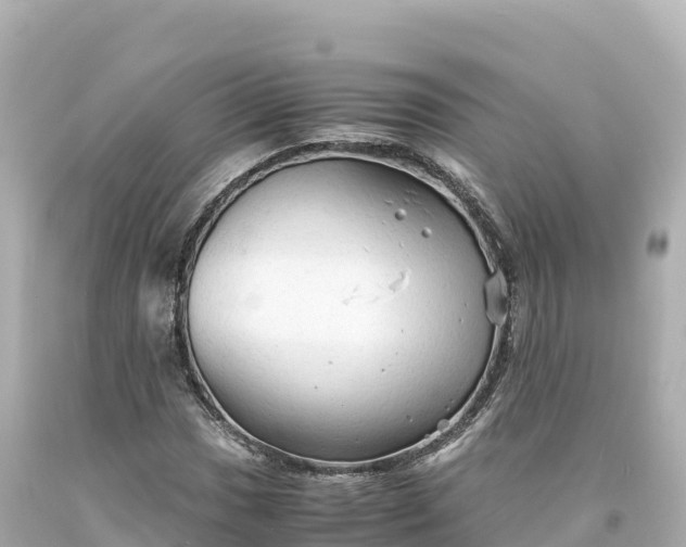 X0000094221017200711021134