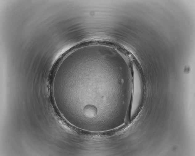 X0000094221018200711021134