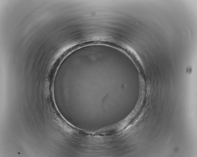 X0000094221019200711021134