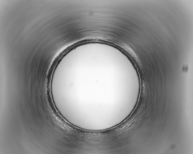 X0000094221020200711021134