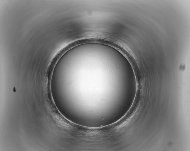 X0000094221021200711021134