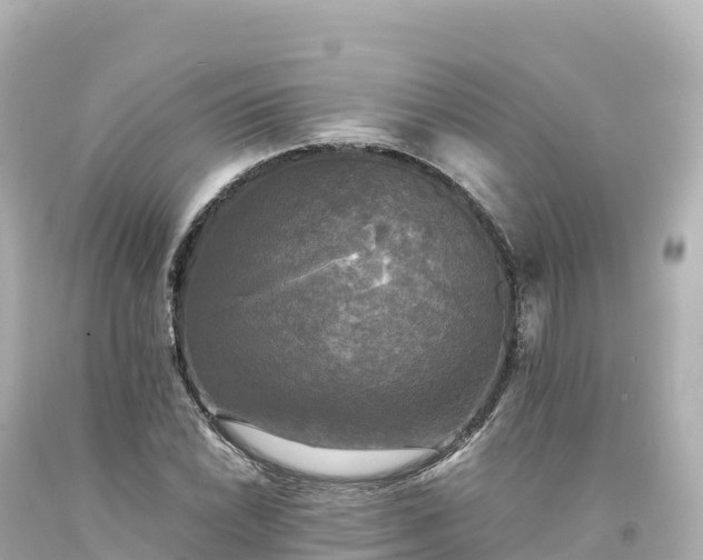 X0000094221022200711021134