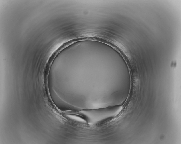 X0000094221023200711021134