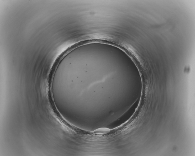 X0000094221024200711021134