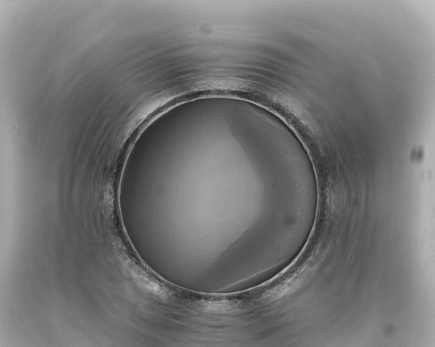 X0000094221025200711021134