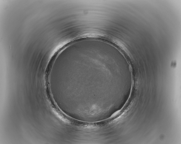 X0000094221026200711021134