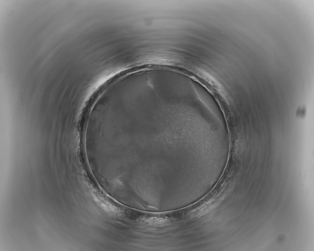 X0000094221027200711021134