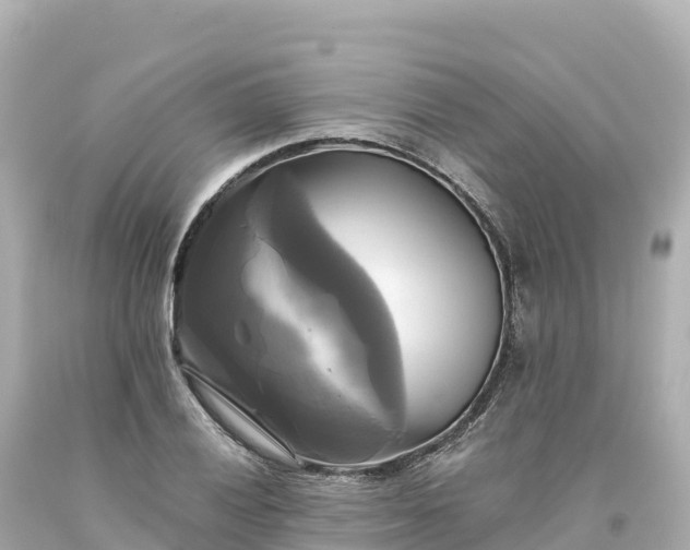 X0000094221028200711021134