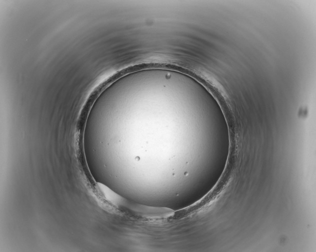 X0000094221029200711021134